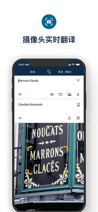 deepl翻译器app(4)