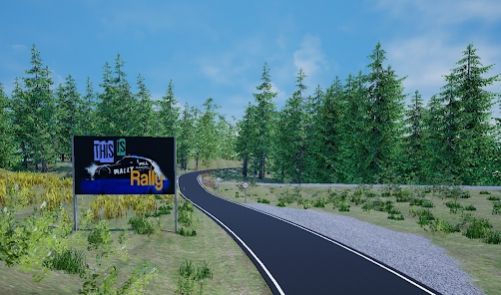 这就是拉力游戏中文手机版(2)