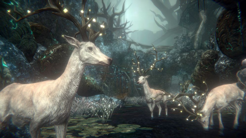 帕斯卡契约2025安卓最新版(2)