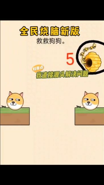 救救狗狗(4)