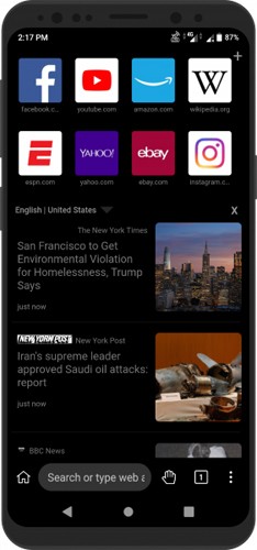 Kiwi浏览器手机版(1)
