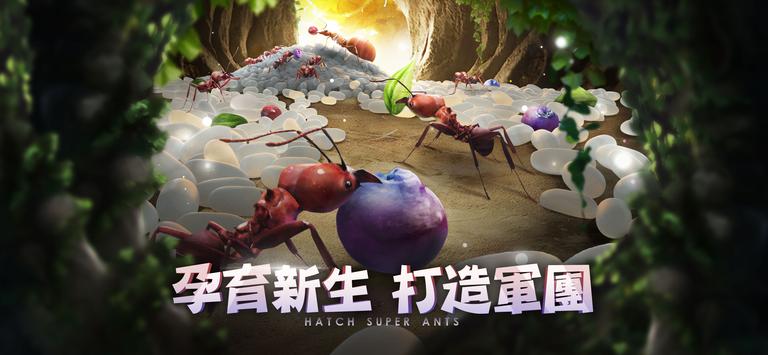 小小蚁国37客户端安装(4)