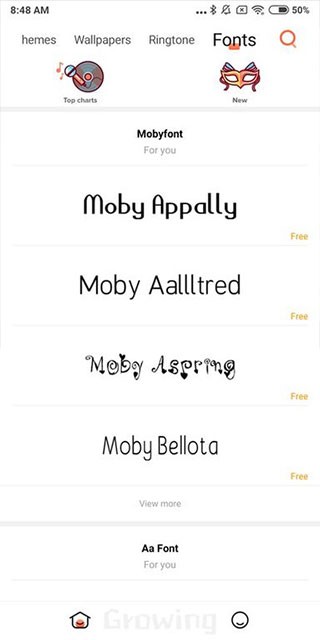 小米主题国际版(3)