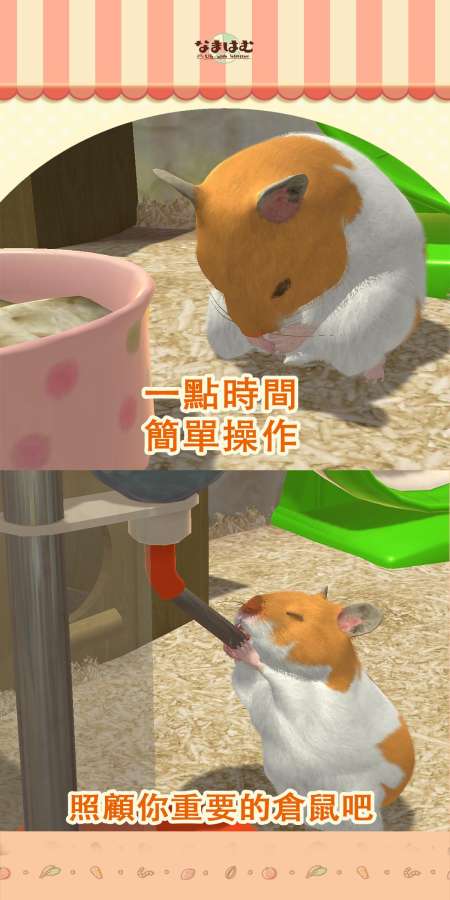 我的仓鼠安卓版2024(2)