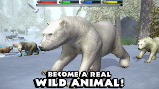终极北极熊模拟器(1)