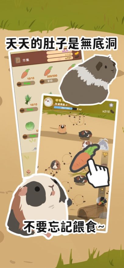 天竺鼠农场红包版(1)