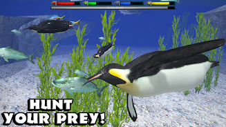 终极北极熊模拟器(5)