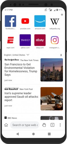 Kiwi浏览器手机版(2)