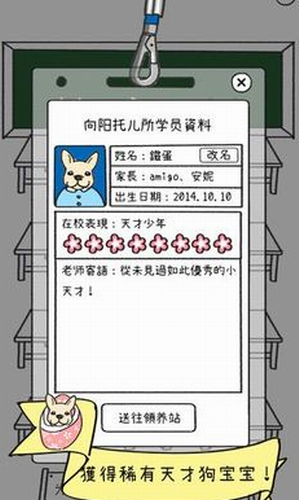 狗狗太可爱了(1)