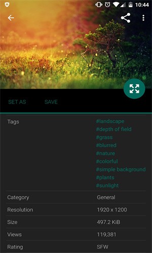 wallhaven手机版隐藏模式(1)