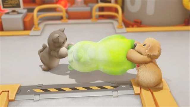 动物派对最新版(2)