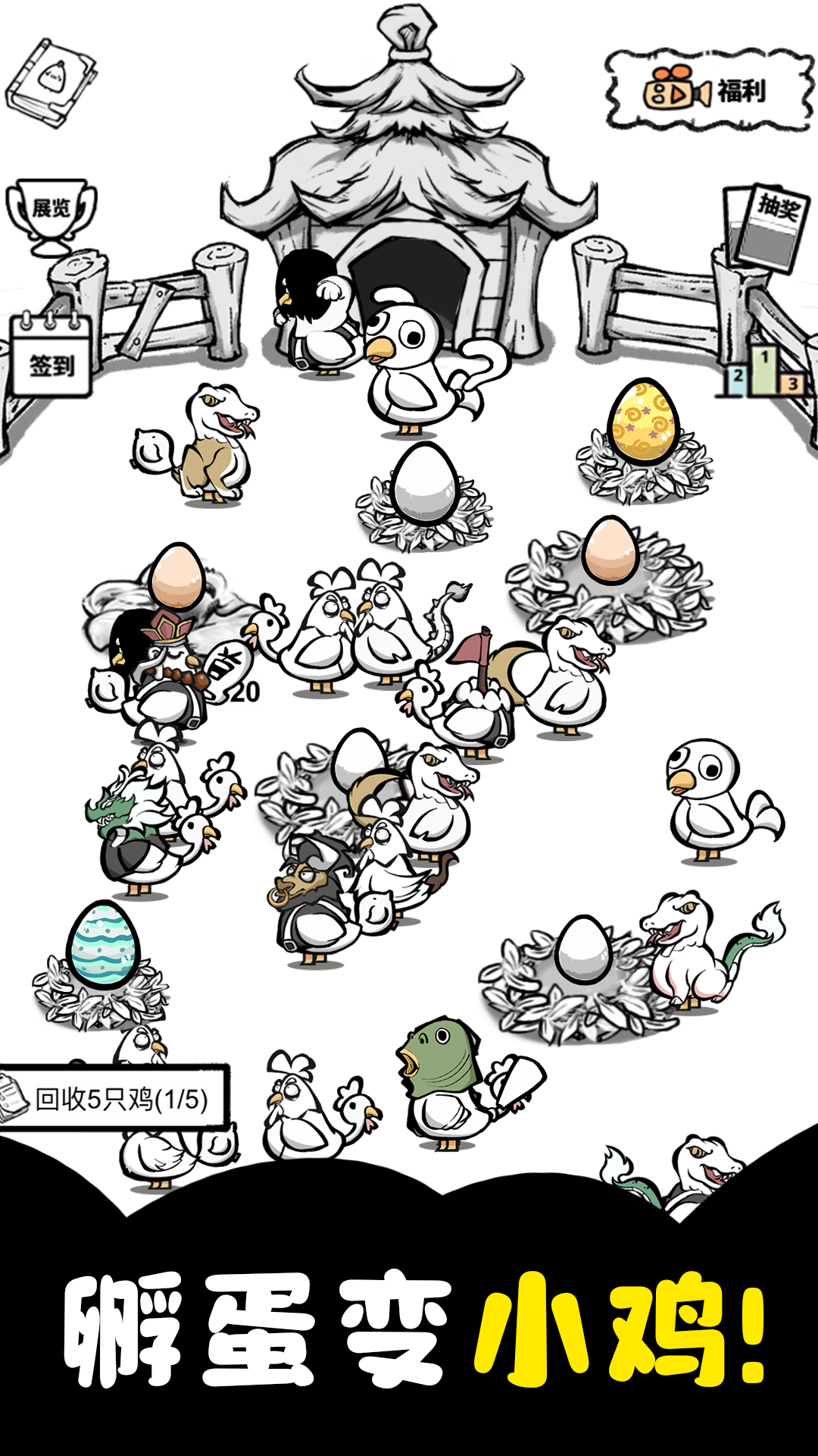 养鸡时长两年半小(1)