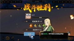 闪投部落忍者世界国际服(4)