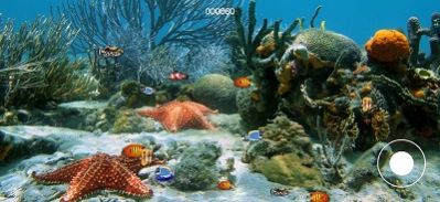 大鱼我不怕你游戏手机版(3)