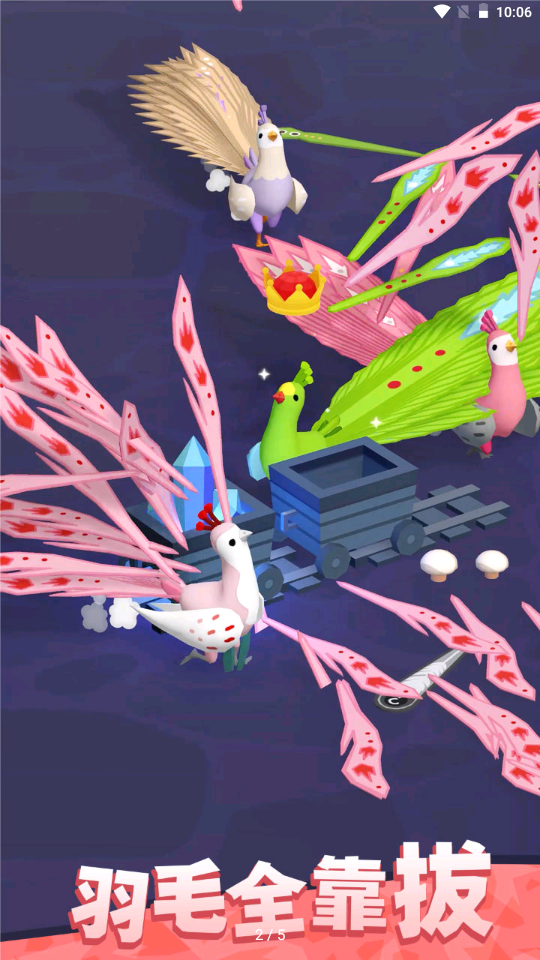 孔雀拔毛大赛(4)