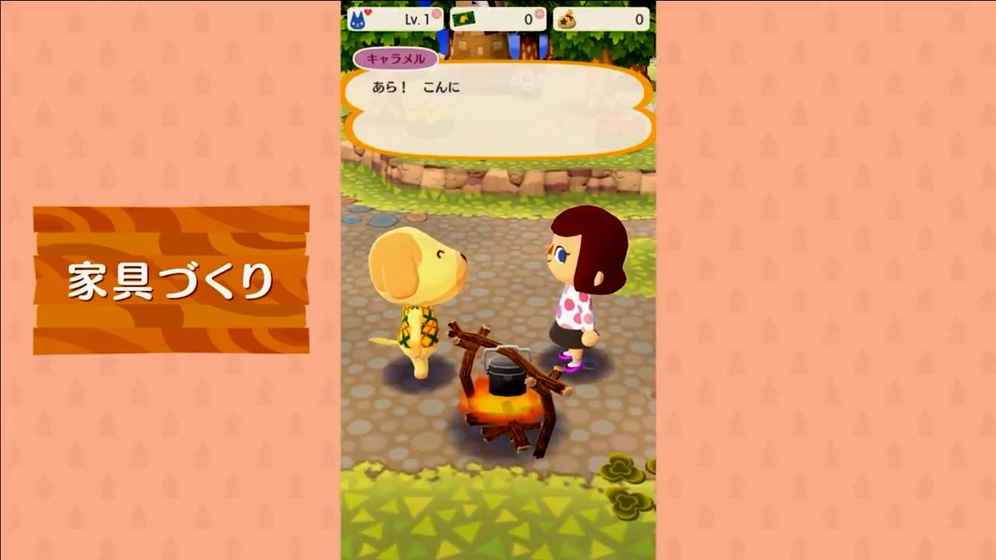 动物之森口袋露营汉化版(6)