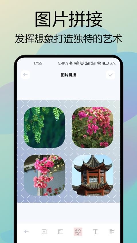 双鱼视频助手APP(4)