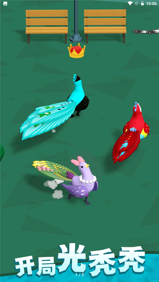 孔雀拔毛大赛(1)