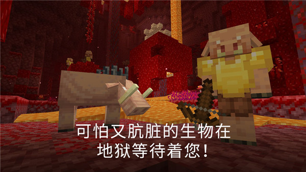 我的世界PE版(2)